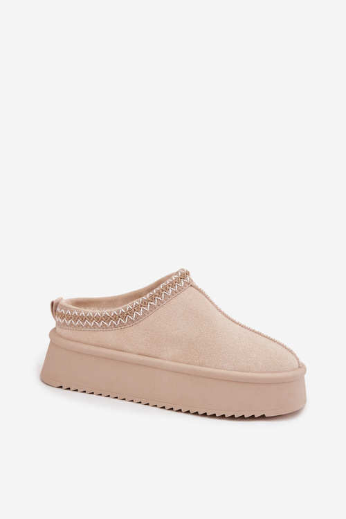 Жіночі зимові черевики з вишивкою світло бежеві Pristina