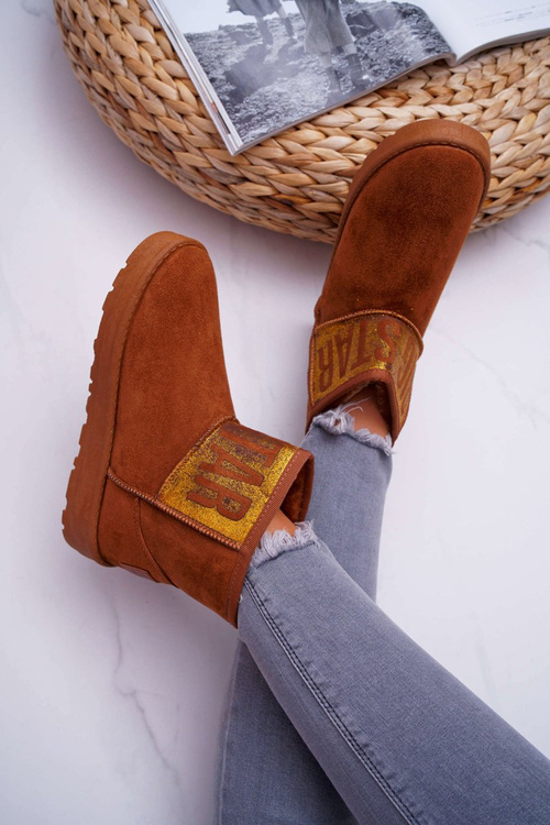 Жіночі чоботи Snow Boots Утеплені коричневі Big Star EE274259