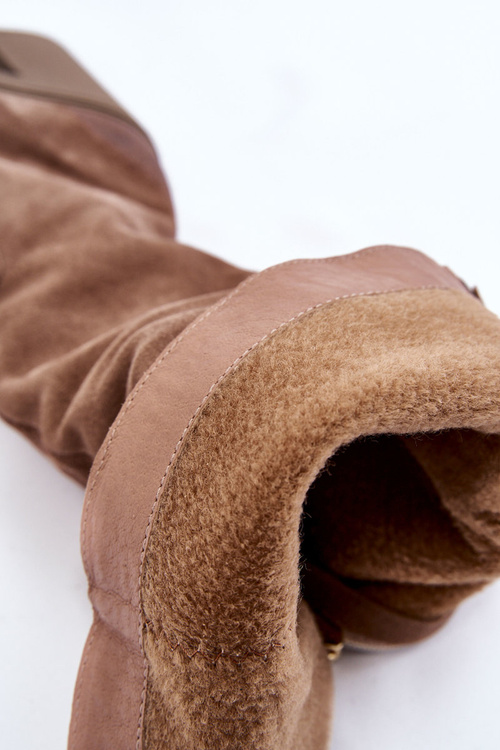 Жіночі замшеві чоботи на масивному каблуці світло-коричневі Valeris