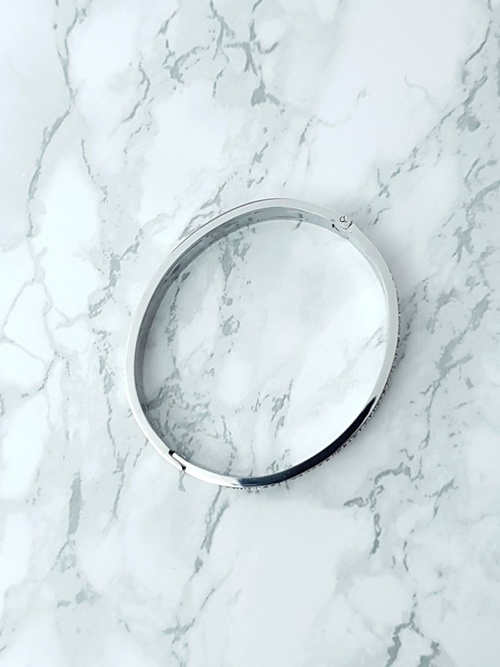 Жіночий сталевий браслет з цирконами Срібний Verne