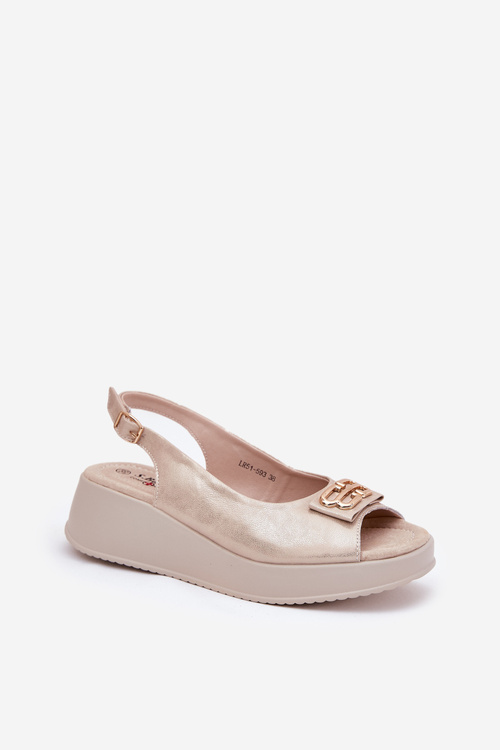 Шкіряні Жіночі Сандалі На Котурні З Декоративним Елементом S.Barski LR51-593 Золоті