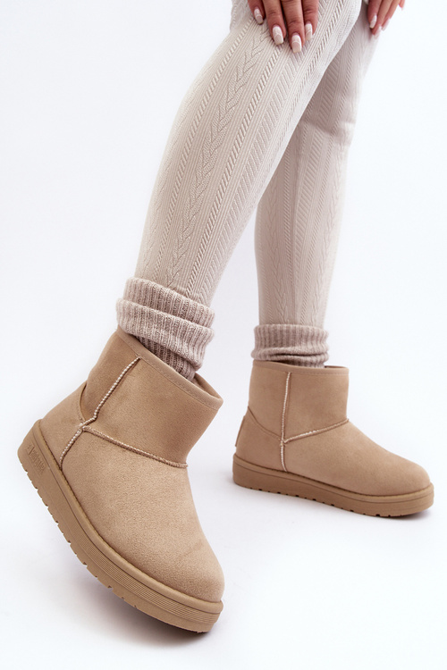 Жіночі зимові черевики з хутряною підкладкою, бежевий Big Star MM274160