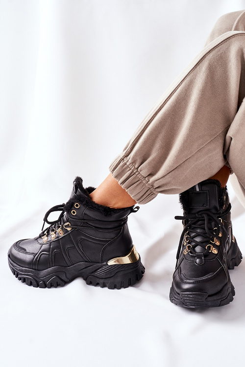 Жіночі утеплені чоботи Black Hareshaw