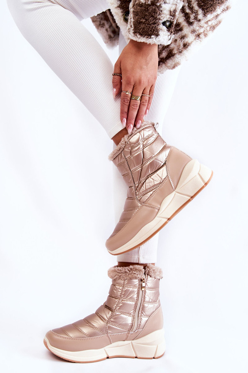 Жіночі зимові черевики на блискавці золотисто-бежеві Senia