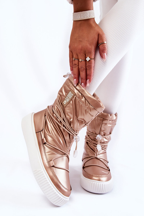 Чоботи жіночі утеплені Big Star KK274194 Beige