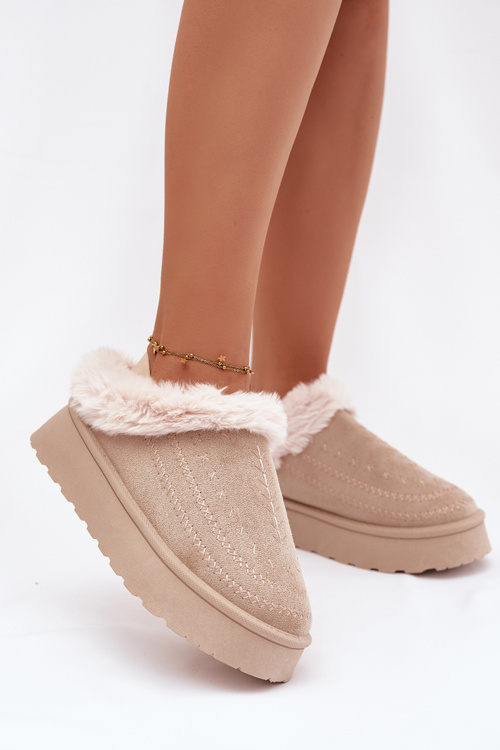 Жіночі зимові чоботи на платформі з хутром і прошивками світло бежеві Arelina