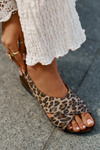 Жіночі шкіряні сандалі леопардові коричневі Zazoo 40407