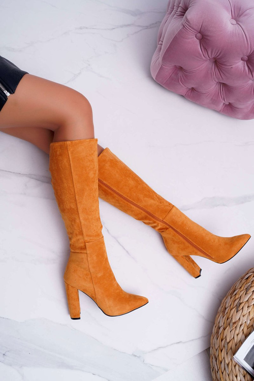 Жіночі чоботи на шпильці Camel Warden