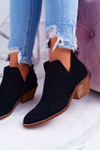 Жіночі весняні ковбойські чоботи Black Matty