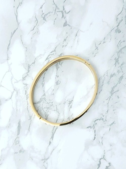 Жіночий сталевий браслет з цирконами золото 6мм Valerii