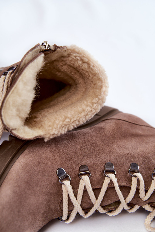 Жіночі замшеві чоботи на каблуці коричневі Fenya