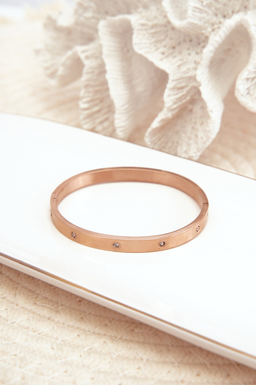 Сталевий браслет із рожевим золотом і цирконієм Лорен