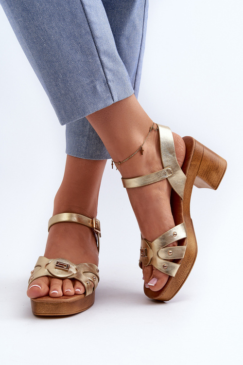 Жіночі босоніжки на високих підборах із золотої екошкіри Assames