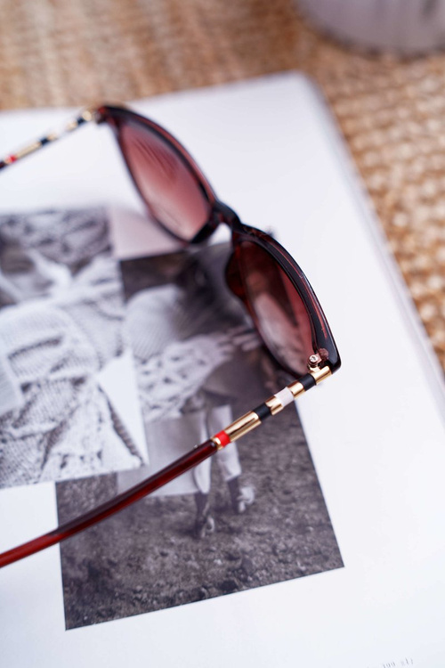 Коричневі прозорі сонцезахисні окуляри Prius PR-V13