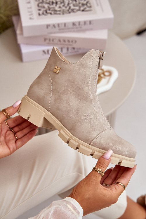 Теплі жіночі черевики з ефектною екошкірою Gold Verietta