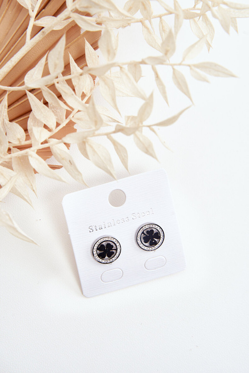 Сережки з нержавіючої сталі Clovers Silver