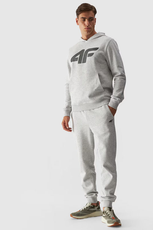 Чоловічі спортивні штани 4FWMM00TTROM0942-27M сірий меланж