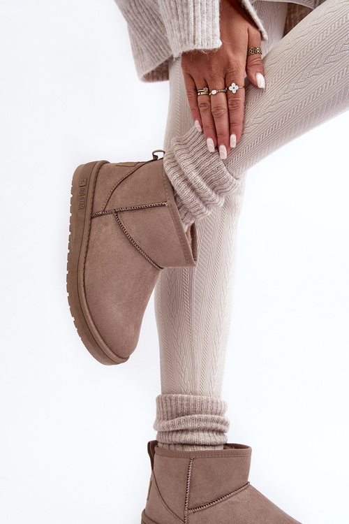 Жіночі зимові черевики темно-бежеві Big Star KK274294