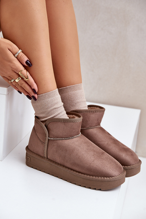 Жіночі зимові черевики на платформі D.Franklin DFSH370010 Темно-сірий