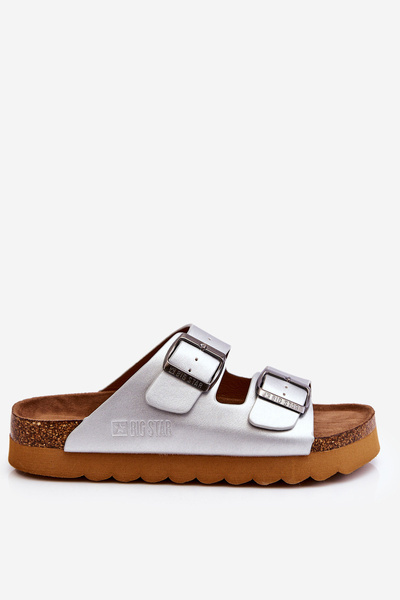 Класичні жіночі тапочки Big Star LL274476 Срібні