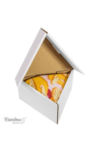 Шкарпетки Rainbow. 1 пара шкарпеток для гавайської піци